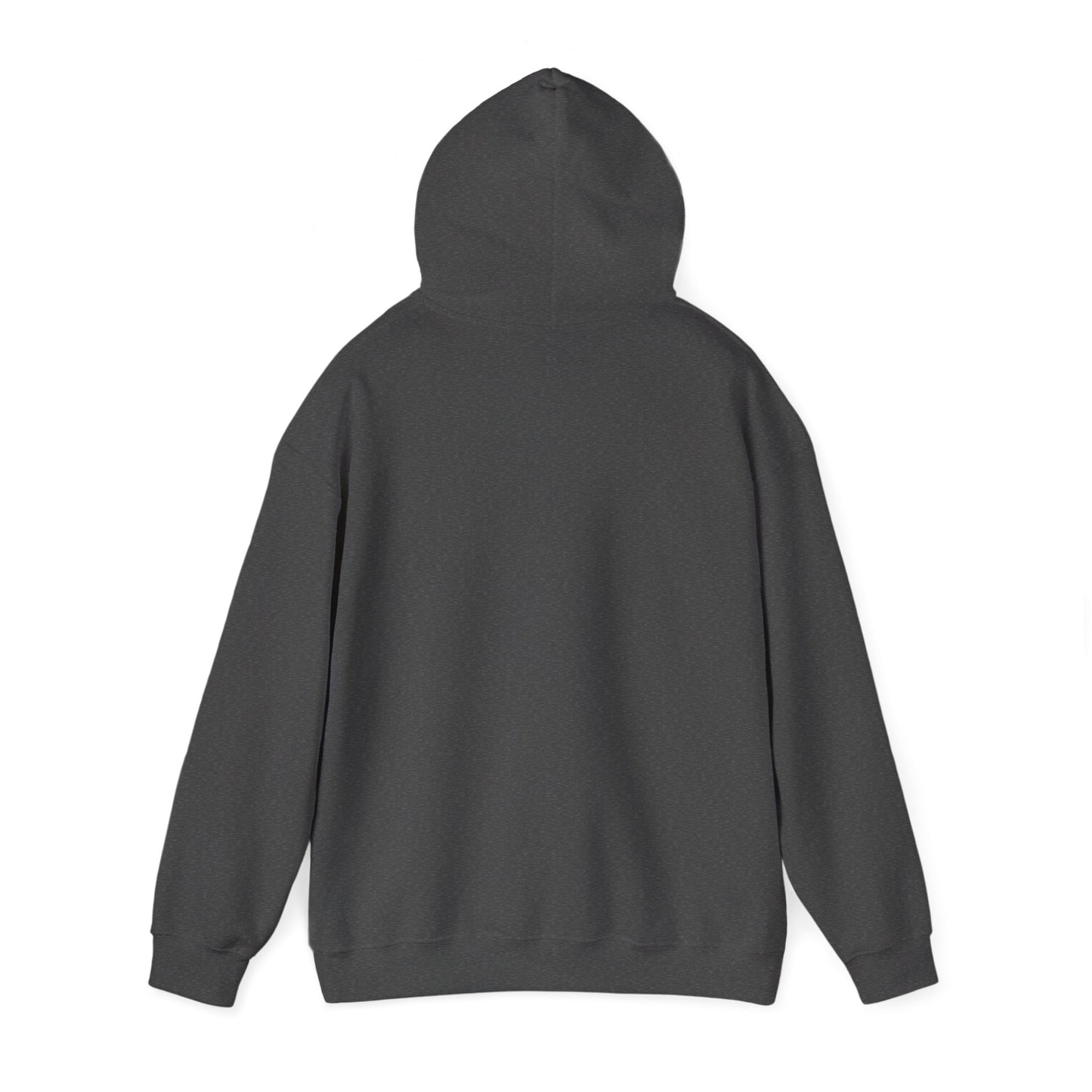 Cozy Spirit Paw Hoodie - Unisex Sweatshirt for Pet Lovers, Perfect Gift for Birthdays, Holidays, and Casual Outings